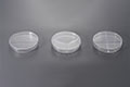 Petri Dish